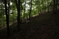 Canon EOS 5D Mark II, 2012:08:04 19:03:15 -- 1/60 sec, f/4.0.  No Flash, Compulsory.5616x3744 Off.