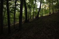 Canon EOS 5D Mark II, 2012:08:04 19:05:53 -- 1/60 sec, f/4.0.  No Flash, Compulsory.5616x3744 Off.