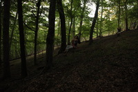 Canon EOS 5D Mark II, 2012:08:04 19:05:54 -- 1/60 sec, f/4.0.  No Flash, Compulsory.5616x3744 Off.