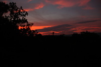 Canon EOS 5D Mark II, 2012:08:05 05:12:48 -- 1/50 sec, f/7.1.  No Flash, Compulsory.5616x3744 Off.