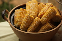 Canon EOS 5D Mark II, 2012:08:09 17:59:12 -- 1/100 sec, f/4.0.  No Flash, Compulsory.5616x3744 Off.