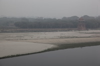 Canon EOS 5D Mark II, 2013:02:02 12:29:07 -- 1/400 sec, f/8.0.  No Flash, Compulsory.5616x3744 Off.