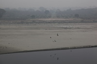 Canon EOS 5D Mark II, 2013:02:02 12:29:34 -- 1/400 sec, f/8.0.  No Flash, Compulsory.5616x3744 Off.