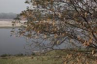 Canon EOS 5D Mark II, 2013:02:02 12:56:18 -- 1/60 sec, f/22.0.  No Flash, Compulsory.5616x3744 Off.