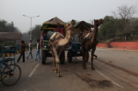 Canon EOS 5D Mark II, 2013:02:02 13:27:59 -- 1/200 sec, f/10.0.  No Flash, Compulsory.5616x3744 Off.