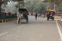 Canon EOS 5D Mark II, 2013:02:02 13:28:24 -- 1/200 sec, f/7.1.  No Flash, Compulsory.5616x3744 Off.