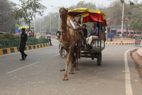 Canon EOS 5D Mark II, 2013:02:02 13:28:33 -- 1/125 sec, f/7.1.  No Flash, Compulsory.5616x3744 Off.