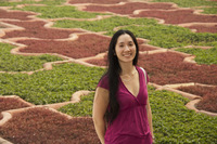 NIKON D700, 2013:04:27 22:00:09 -- 1/250 sec, f/9.0.  Flash, Compulsory, Return Detected.4256x2832 