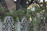 Canon EOS 5D Mark II, 2013:02:08 17:18:50 -- 1/125 sec, f/4.0.  No Flash, Compulsory.5616x3744 Off.