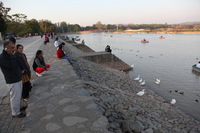 Canon EOS 5D Mark II, 2013:02:08 17:23:24 -- 1/80 sec, f/5.6.  No Flash, Compulsory.5616x3744 Off.