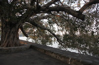 Canon EOS 5D Mark II, 2013:02:08 17:28:18 -- 1/50 sec, f/5.0.  No Flash, Compulsory.5616x3744 Off.