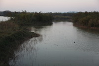 Canon EOS 5D Mark II, 2013:02:08 17:56:37 -- 1/50 sec, f/4.0.  No Flash, Compulsory.5616x3744 Off.