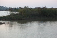 Canon EOS 5D Mark II, 2013:02:08 17:56:58 -- 1/80 sec, f/4.0.  No Flash, Compulsory.5616x3744 Off.