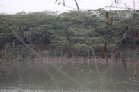 Canon EOS 5D Mark II, 2013:02:08 18:03:54 -- 1/100 sec, f/4.0.  No Flash, Compulsory.5616x3744 Off.