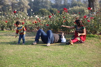 Canon EOS 5D Mark II, 2013:02:09 16:35:41 -- 1/160 sec, f/5.0.  No Flash, Compulsory.5616x3744 Off.