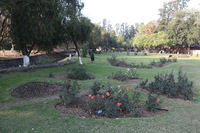 Canon EOS 5D Mark II, 2013:02:09 16:35:52 -- 1/60 sec, f/5.0.  No Flash, Compulsory.5616x3744 Off.