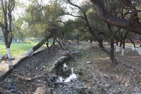 Canon EOS 5D Mark II, 2013:02:09 16:37:00 -- 1/40 sec, f/4.5.  No Flash, Compulsory.5616x3744 Off.