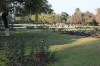 Canon EOS 5D Mark II, 2013:02:09 16:44:42 -- 1/80 sec, f/5.6.  No Flash, Compulsory.5616x3744 Off.