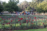 Canon EOS 5D Mark II, 2013:02:09 16:47:01 -- 1/60 sec, f/5.0.  No Flash, Compulsory.5616x3744 Off.