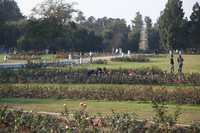 Canon EOS 5D Mark II, 2013:02:09 17:00:37 -- 1/160 sec, f/5.0.  No Flash, Compulsory.5616x3744 Off.