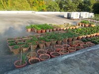 Galaxy Nexus, 2013:02:14 16:57:45 -- 3463/1000000 sec, f/2.8.  No Flash, Compulsory.2592x1944 0.