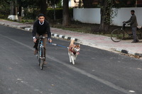 Canon EOS 5D Mark II, 2013:02:15 17:46:19 -- 1/100 sec, f/4.0.  No Flash, Compulsory.5616x3744 Off.