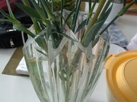 Galaxy Nexus, 2013:02:16 11:38:41 -- 29997/500000 sec, f/2.8.  No Flash, Compulsory.2592x1944 0.