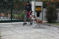 Canon EOS 5D Mark II, 2013:02:20 17:29:02 -- 1/100 sec, f/4.0.  No Flash, Compulsory.5616x3744 Off.