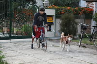 Canon EOS 5D Mark II, 2013:02:20 17:29:09 -- 1/80 sec, f/4.0.  No Flash, Compulsory.5616x3744 Off.