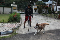 Canon EOS 5D Mark II, 2013:02:20 17:29:13 -- 1/60 sec, f/5.0.  No Flash, Compulsory.5616x3744 Off.