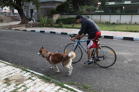 Canon EOS 5D Mark II, 2013:02:20 17:29:23 -- 1/50 sec, f/4.5.  No Flash, Compulsory.5616x3744 Off.