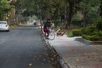 Canon EOS 5D Mark II, 2013:02:20 17:30:48 -- 1/100 sec, f/4.0.  No Flash, Compulsory.5616x3744 Off.