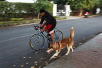 Canon EOS 5D Mark II, 2013:02:20 17:31:05 -- 1/30 sec, f/4.0.  No Flash, Compulsory.5616x3744 Off.