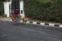 Canon EOS 5D Mark II, 2013:02:20 17:33:16 -- 1/100 sec, f/4.0.  No Flash, Compulsory.5616x3744 Off.