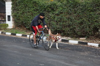 Canon EOS 5D Mark II, 2013:02:20 17:33:18 -- 1/100 sec, f/4.0.  No Flash, Compulsory.5616x3744 Off.