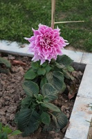 Canon EOS 5D Mark II, 2013:02:20 17:47:01 -- 1/125 sec, f/4.0.  No Flash, Compulsory.5616x3744 Off.