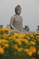 Canon EOS 5D Mark II, 2013:02:20 18:13:58 -- 1/60 sec, f/4.0.  No Flash, Compulsory.5616x3744 Off.