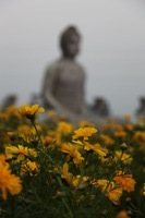 Canon EOS 5D Mark II, 2013:02:20 18:14:00 -- 1/60 sec, f/4.0.  No Flash, Compulsory.5616x3744 Off.