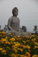 Canon EOS 5D Mark II, 2013:02:20 18:16:00 -- 1/60 sec, f/4.0.  No Flash, Compulsory.5616x3744 Off.