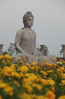 Canon EOS 5D Mark II, 2013:02:20 18:16:01 -- 1/80 sec, f/4.0.  No Flash, Compulsory.5616x3744 Off.