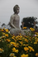 Canon EOS 5D Mark II, 2013:02:20 18:16:22 -- 1/80 sec, f/4.0.  No Flash, Compulsory.5616x3744 Off.