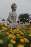 Canon EOS 5D Mark II, 2013:02:20 18:16:23 -- 1/80 sec, f/4.0.  No Flash, Compulsory.5616x3744 Off.