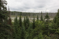 Canon EOS 5D Mark II, 2013:08:05 12:53:23 -- 1/400 sec, f/14.0.  No Flash, Compulsory.5616x3744 Off.