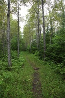 Canon EOS 5D Mark II, 2013:08:05 13:29:17 -- 1/50 sec, f/5.0.  No Flash, Compulsory.5616x3744 Off.