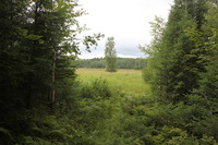 Canon EOS 5D Mark II, 2013:08:05 14:23:48 -- 1/60 sec, f/5.6.  No Flash, Compulsory.5616x3744 Off.