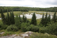 Canon EOS 5D Mark II, 2013:08:05 14:26:23 -- 1/60 sec, f/5.6.  No Flash, Compulsory.5616x3744 Off.