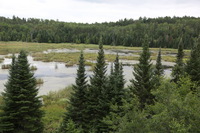 Canon EOS 5D Mark II, 2013:08:05 14:35:01 -- 1/60 sec, f/5.0.  No Flash, Compulsory.5616x3744 Off.