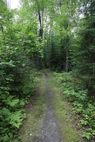 Canon EOS 5D Mark II, 2013:08:05 14:40:15 -- 1/30 sec, f/4.0.  No Flash, Compulsory.5616x3744 Off.