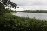 Canon EOS 5D Mark II, 2013:08:05 16:23:10 -- 1/80 sec, f/7.1.  No Flash, Compulsory.5616x3744 Off.