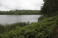 Canon EOS 5D Mark II, 2013:08:05 16:23:19 -- 1/80 sec, f/7.1.  No Flash, Compulsory.5616x3744 Off.